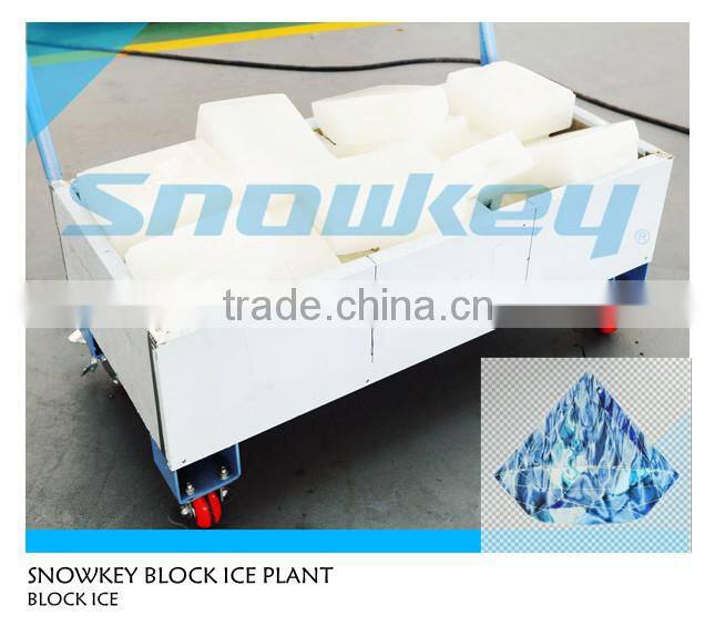 High Quality 1 Ton Block Ice Machine Block Making machine Block Ice Plant