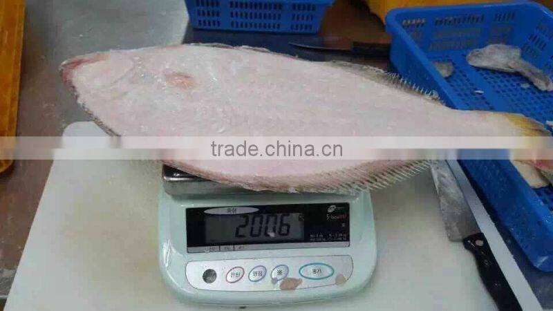High Quality Single Piece Fish Flounder Flatfish