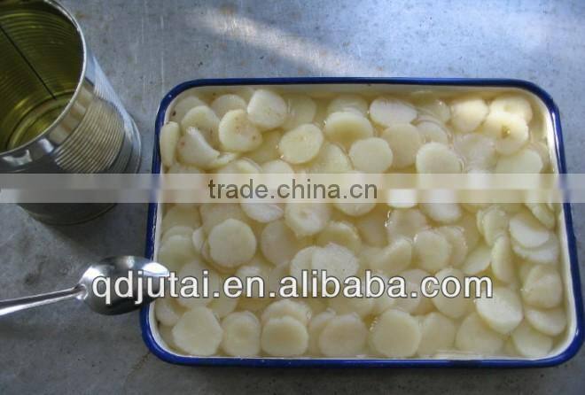567g Canned Water Chestnut in tin