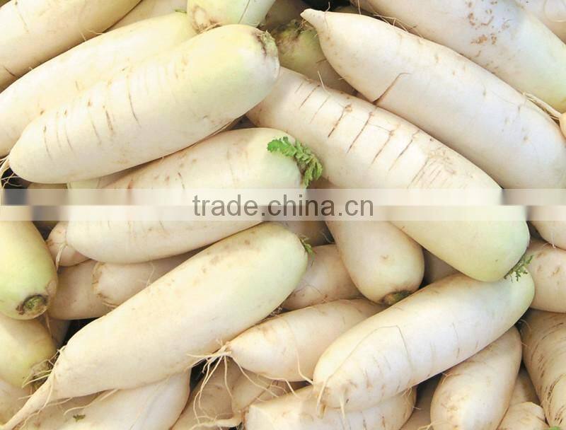 GL-380 Full Automatic Potato Vegetable and Fruit Washing and Peeling Machine