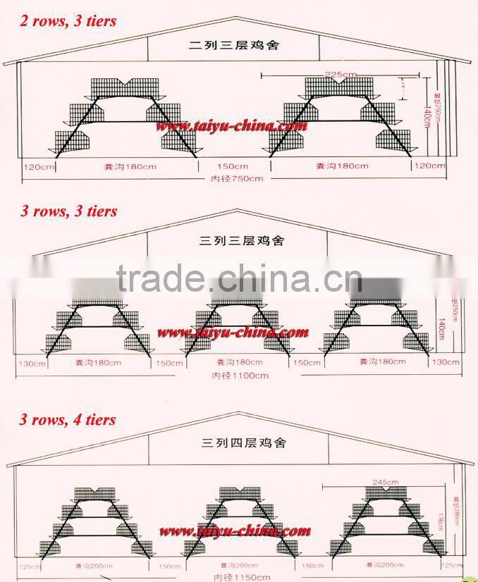 TAIYU Layer Poultry Equipments Guangzhou for Chicken Farm