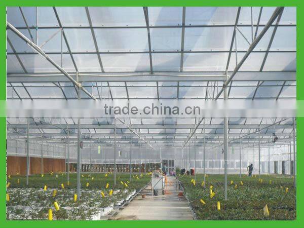 greenhouse with ventilation system from big greenhouse manufacturer in China