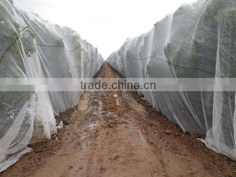 agriculture,industry fence net