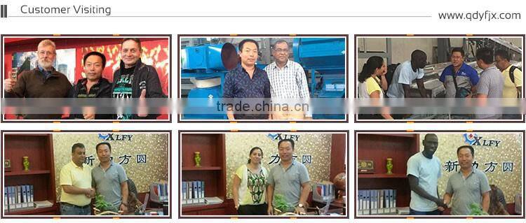 Low price food processing bucket elevator hopper lift machinery for rice