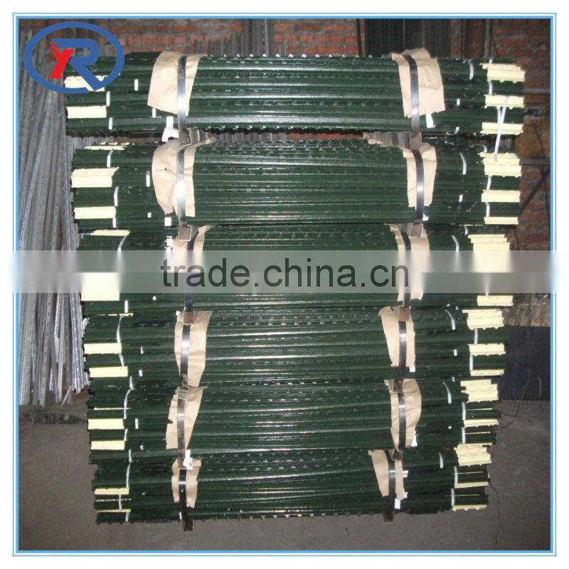 Green painted metal studded t post