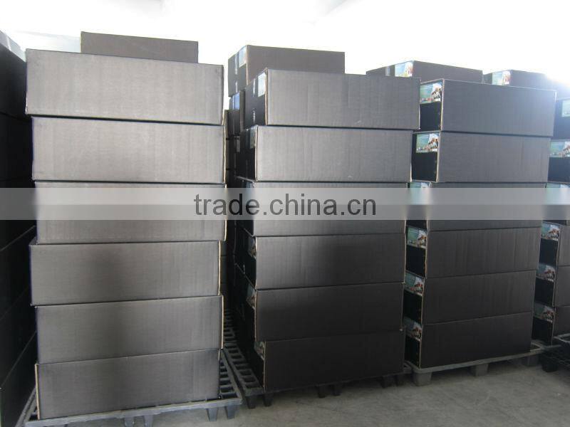 Premium HID 6 Inch Hydroponic Air Cooled Grow Light Reflector Hood