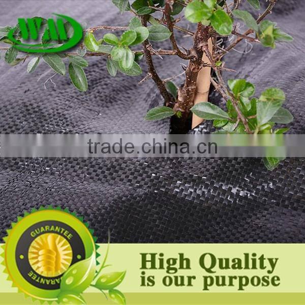 weed control pp woven fabric