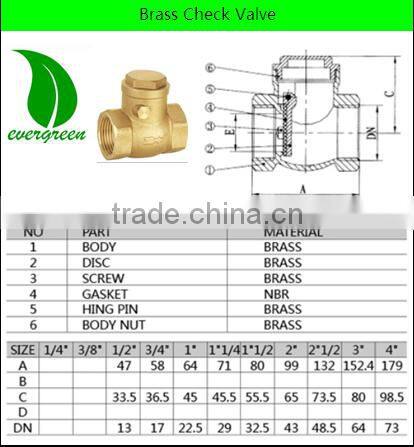 Horizontal Brass spring closing check valve