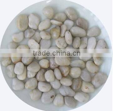 White beach Pebble cobble stone ,pebble granite wholesale