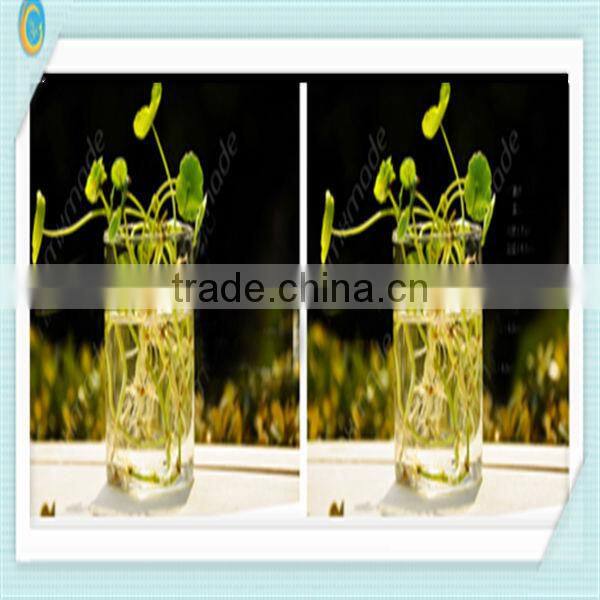 Clear glass vases for home decoration