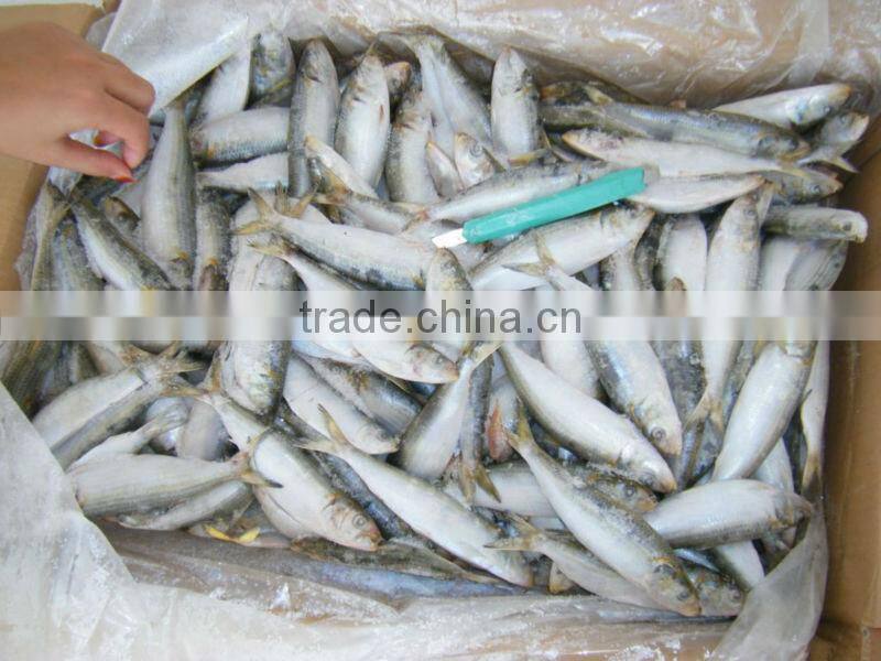 otak otak frozen food sardine