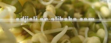 Sprout maker-kitchen appliance