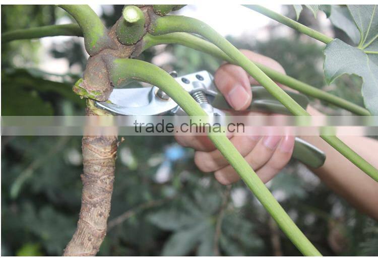 8" bypass garden pruning shears plant fruit scissors pruner snip gardening secateurs hand tool