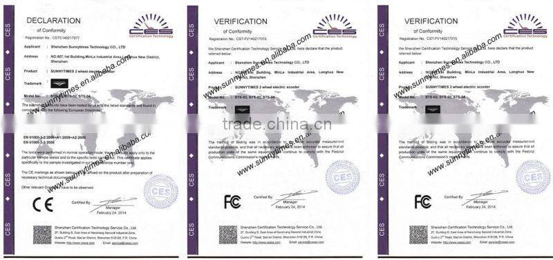 Sunnytimes-Shredder gas scooter 2015