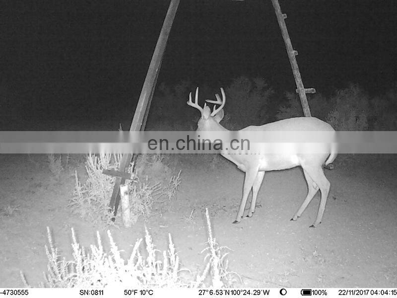 China outdoor 4G trail camera with gps Sim Card Hunting Video Camera