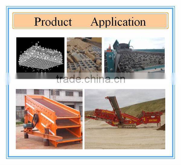 Stone Crusher Mesh