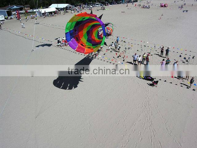 larger size beautiful fish windsock