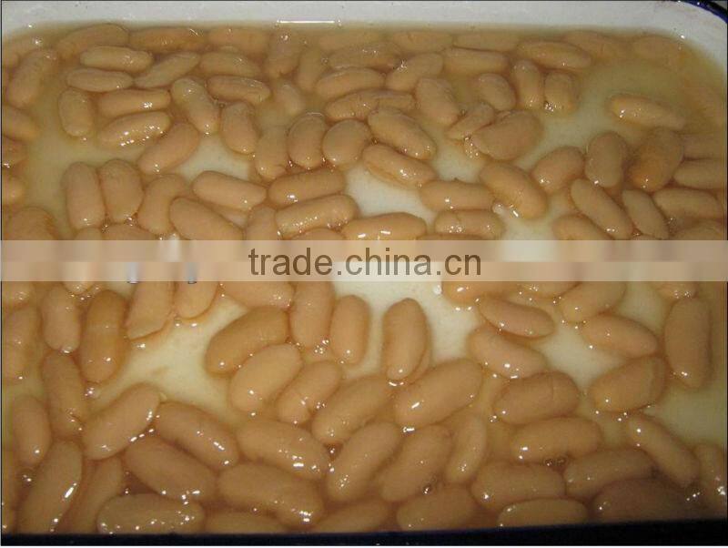 cheap canned red kidney beans