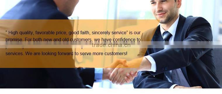 Professional manufacture disposable cigarette plastic electronic lighters HL-09608S