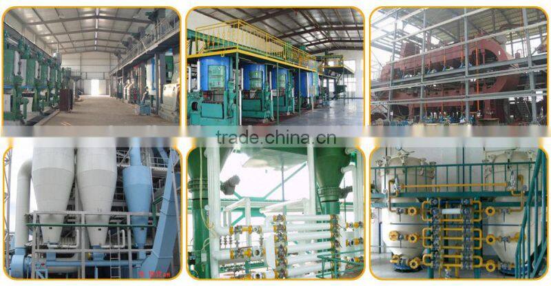 palm oil fruit processing equipment