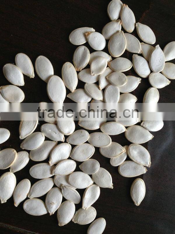 Hot Products Pumpkin Non-Edible Seeds