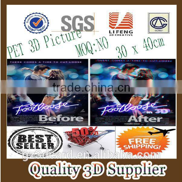 Guangzhou Lifeng promotion cheap 3d file folder