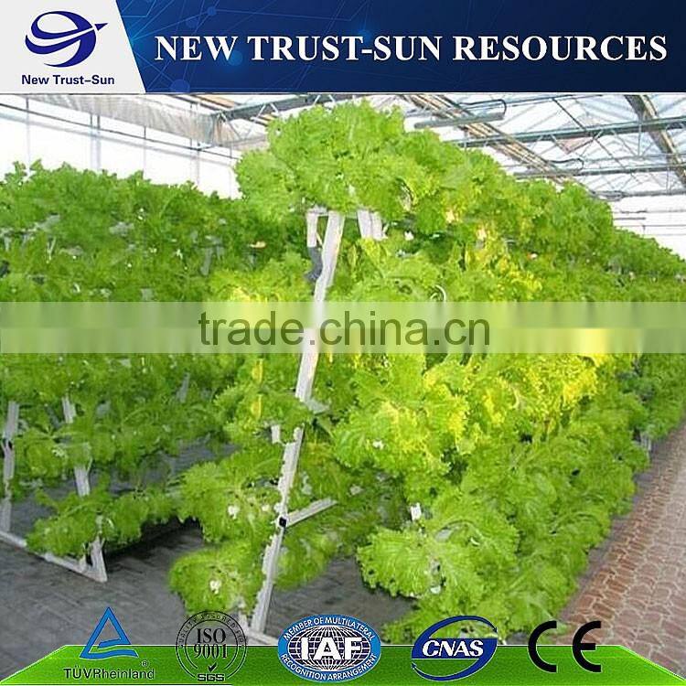 High quality polycarbonate/ PC greenhouse with hydroponic system &shading system