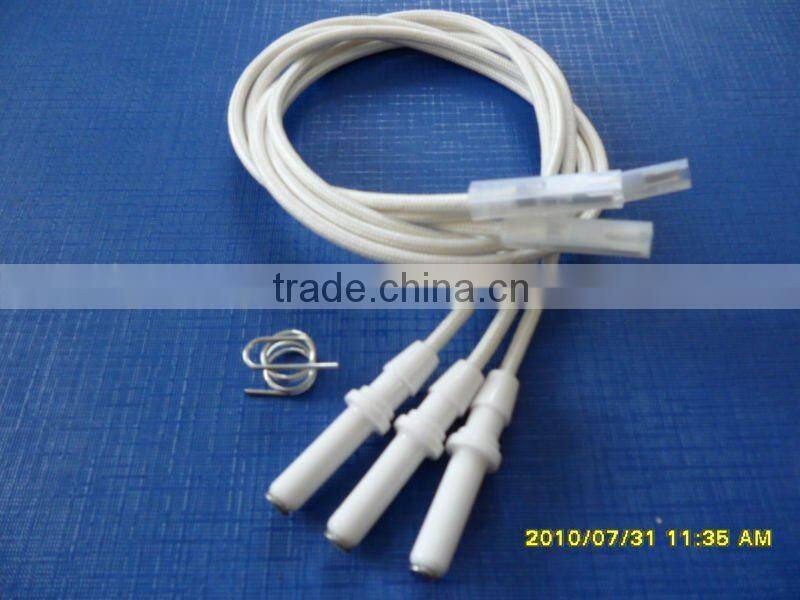 gas ignition ceramics ignition electrode