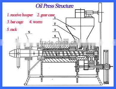 Long working life sunflower oil screw oil press machine