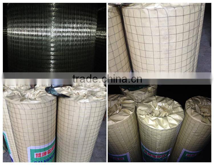 1/2 inch galvanized welded wire mesh, roll price, for sale