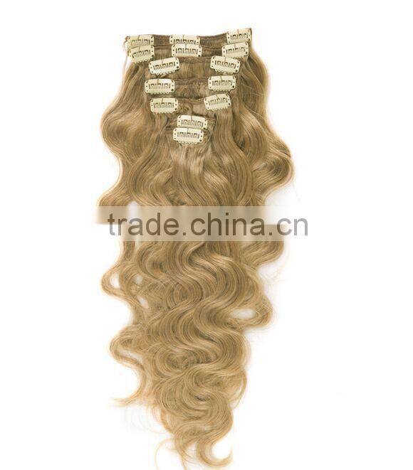 clips on hair/clips in hair/human hair extensions/hair products