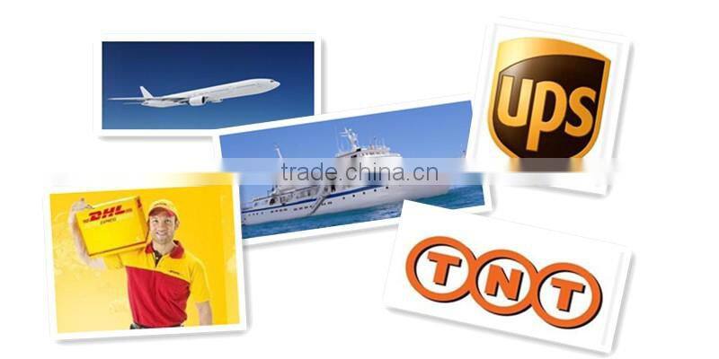 B Type High Pt100 Temperature Sensor Cable for Probe for Industry