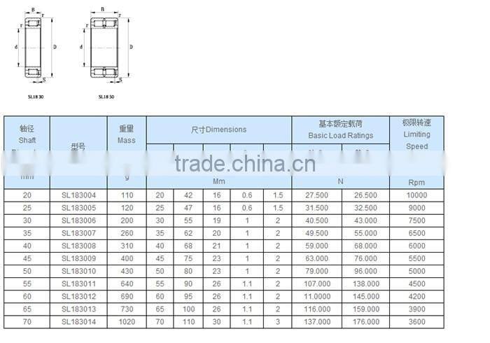 Double Row Full complement Cylindrical Roller Bearing SL014934