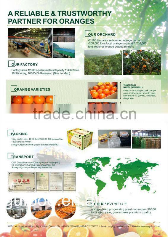 2016 New crop fresh mandarin orange price