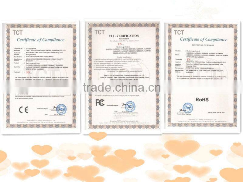 High security electromagnetic lock for single door