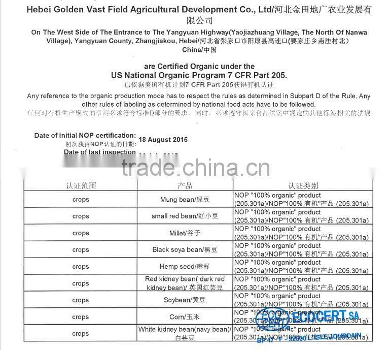 5009 sunflower seeds market price