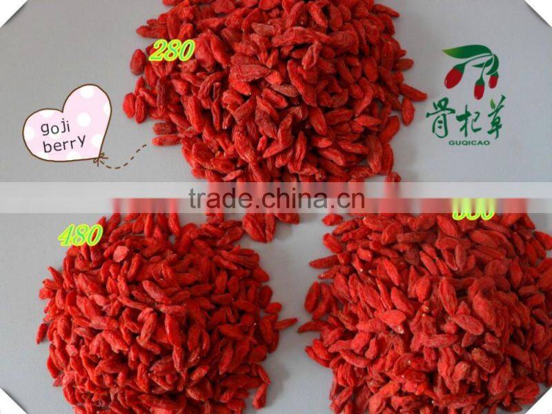 frozen red fresh medlar,goji fruit wolfberry,dried goji berry