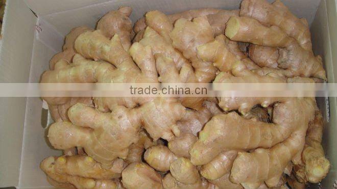 Fresh air dried ginger