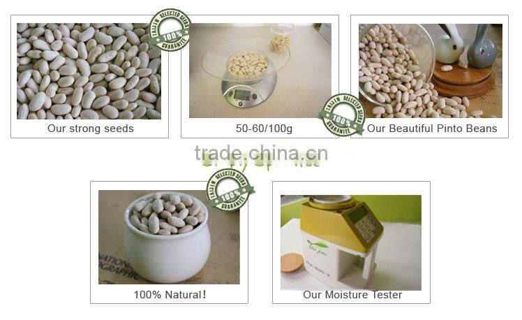 China Origin Good Quality White Kidney Beans