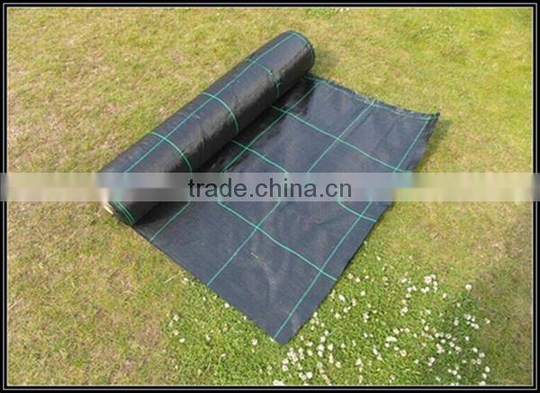 supply pp Woven geotextile/pp woven ground cover/pp woven ground fabric with best price,100% vingin pp material