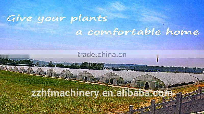 Simple frame Single-Span Greenhouses agriculture agriculture related products