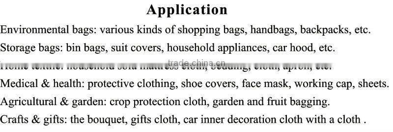 Professional Manufacturer PP Spunbond Non-woven Eco Bag Fabric