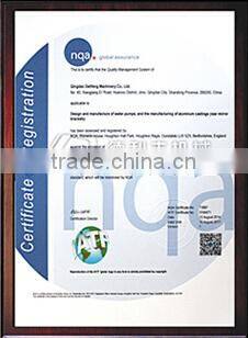 automobile water pump