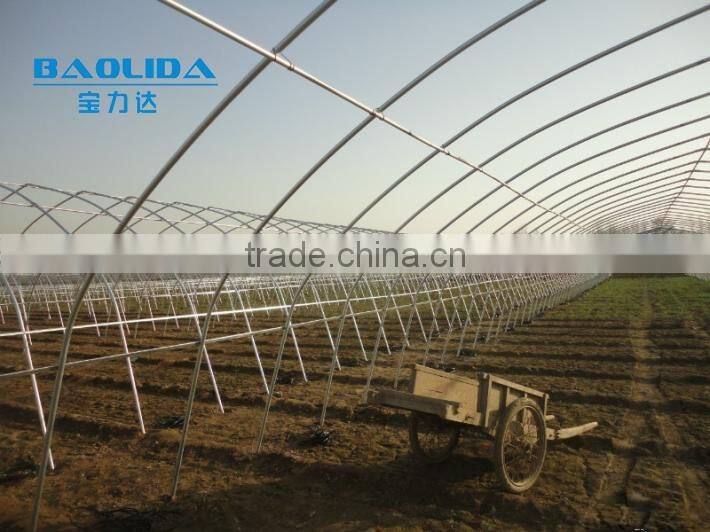 baolida Cheap PE Film Tunnel Greenhouse Mushroom Greenhouse