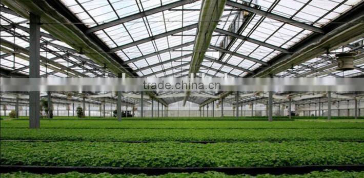 The sunshine board greenhouse for vegetables