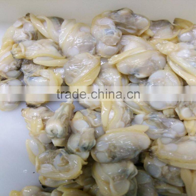 COOKED AND IQF FROZEN YELLOW CLAM MEAT