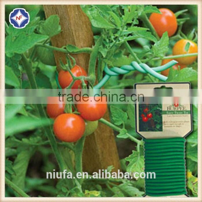 PE plastic plant tie for grape vine