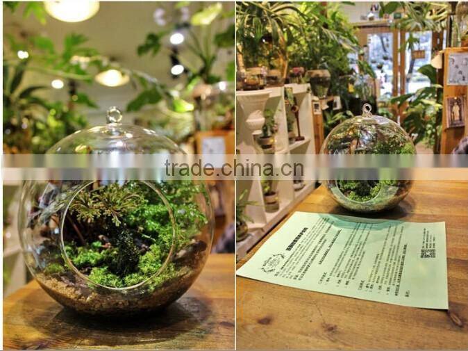 Modern Hanging Clear Round Crystal Glass Vase Flower Balls Terrarium Vases For Wedding Decoration Dia 8 cm