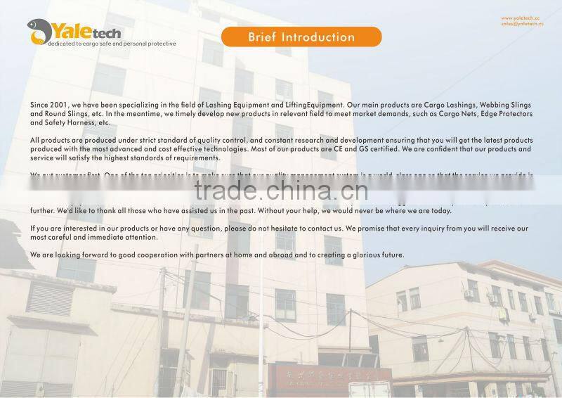 Polyester Round Sling/Round lifting sling