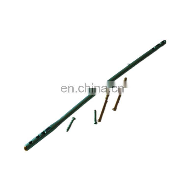 Elastic intramedullary nail implant for safe stable fixation